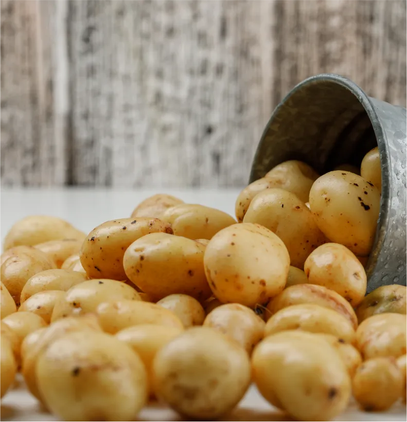 D Vegetables Courtier En Pommes De Terres Mes Realisations 04